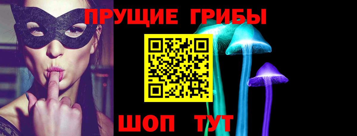 Галлюциногенные грибы Psilocybine cubensis Кизляр